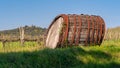 Old wine barrel lying on a vineyard