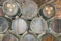 Old wine barrels in Codorniu winery in Spain
