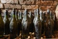 Old wine bottles in the wine cellar Royalty Free Stock Photo