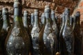 Old wine bottles in the wine cellar Royalty Free Stock Photo