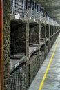 The old wine-cellar at the winery. Retro photo. Royalty Free Stock Photo