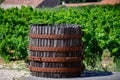 Old wine press in Chateauneuf-du-Pape wine making village in France with green vineyards on large pebbles galets and sandstone Royalty Free Stock Photo