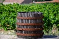 Old wine press in Chateauneuf-du-Pape wine making village in France with green vineyards on large pebbles galets and sandstone Royalty Free Stock Photo