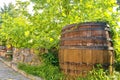 Old wine press and rustic wine barrel.. Wine background in Europe. Czech Republic, South Moravia Royalty Free Stock Photo