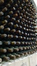 Old wine wine cellar grape wine wine tastings sommelier winery champain production