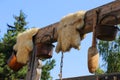 Retro rustic objects hanging