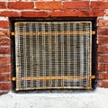 Old wire mesh protecting a basement window