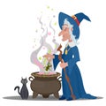 Old witch brewing a potion with a cat in a cauldron Royalty Free Stock Photo