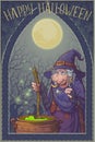 Old witch in a cone hat with her black cat brewing a magic potion in a cauldron. Halloween cartoon style character Royalty Free Stock Photo