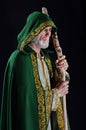 Powerful wizard holds a wooden magic staff Royalty Free Stock Photo