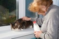 The old woman allows to have drink cat milk Royalty Free Stock Photo