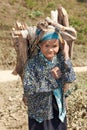 Old woman Asia carry firewood