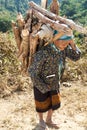 Old woman Asia carry firewood