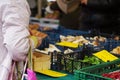 Old woman buying porcini mushrooms and chanterelle at the farmers market in Wiesbaden, Germany Royalty Free Stock Photo