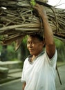 Old woman caring brushwood sheaf Royalty Free Stock Photo