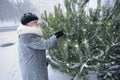 An old woman choosing pine for a Christmas tree at the outdoor stall, preparing for New Year Day