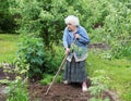 The old woman with a chopper works in a garden Royalty Free Stock Photo