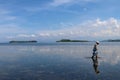 Old woman collects sea food between seaweed at low tide. A Muslim old woman wading in the Indian Ocean at low tide. Royalty Free Stock Photo