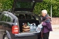 Old woman downloading the car purchase Royalty Free Stock Photo