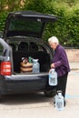 Old woman downloading the car purchase Royalty Free Stock Photo