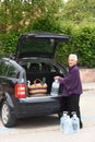 Old woman downloading the car purchase Royalty Free Stock Photo