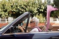 Old woman driving a convertible