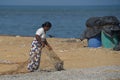 Old woman drying small fish on the beach.