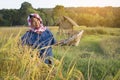 Old woman farmer working at rice field on harvest season