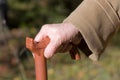 Old woman hand leans on walking stick Royalty Free Stock Photo