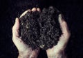 Old woman hands holding fresh soil. Symbol of spring Royalty Free Stock Photo