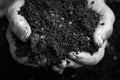 Old woman hands holding fresh soil Royalty Free Stock Photo