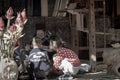 The old woman of Hmong tribe name is painting on to the white fabric