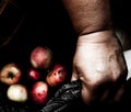 Old woman holding rotten apples in lap. Royalty Free Stock Photo