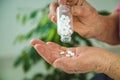 An old woman holds pills in her hands. Selective focus. Royalty Free Stock Photo