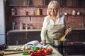 Old woman in the kitchen Royalty Free Stock Photo