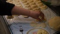 Old woman's hands cooking Ukrainian traditional vareniki or dumplings, perogy with potato