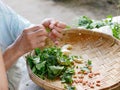 Old woman`s hands preparing vegetables collected from her backyard for cooking a local menu in a rural area of Thailand