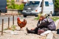 Old woman sits on the side of the road at the town market and sells rooster