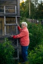 An old woman stands near her village house, Royalty Free Stock Photo