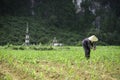Ancient graves in vietnam 2