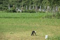 Ancient graves in vietnam 4