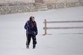 Old woman walking through a blizzard Royalty Free Stock Photo