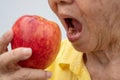 An old woman wears glasses and without teeth trying to eat red apples. Concept of Dental health problems, Elderly patients medical Royalty Free Stock Photo