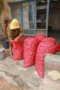 Old woman working in agriculture sorts and puts red onions in bags. The poor lady with the hat bends over the onion.A simple house