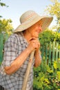 Old woman working in the garden Royalty Free Stock Photo