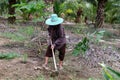 Old woman working in the garden Royalty Free Stock Photo