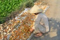 An old woman working at the house in southern Vietnam Royalty Free Stock Photo