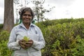 Smiling woman working on a tea plantation in Sri Lanka Royalty Free Stock Photo