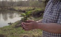 Old woman with the young tree in her hands Royalty Free Stock Photo