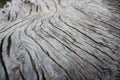 Old wood abstractbackground in thailand Royalty Free Stock Photo